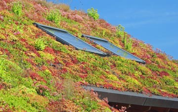 Upper Grove Common living roof systems