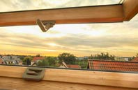rated Upper Grove Common roof window companies